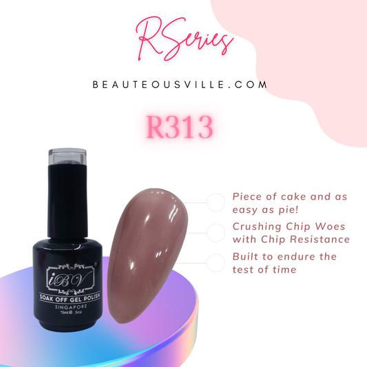 R313